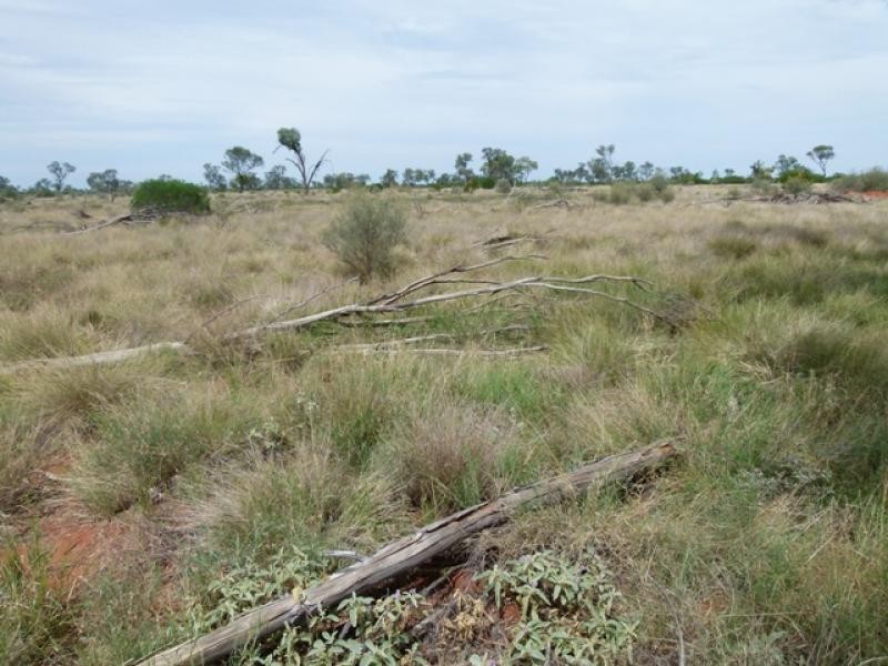 3443 Pitherty Road, Cunnamulla QLD 4490