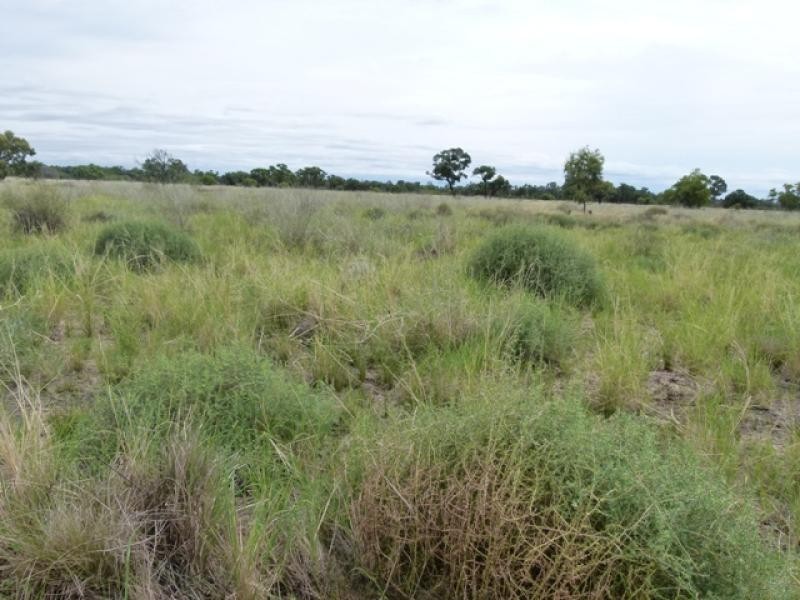 3443 Pitherty Road, Cunnamulla QLD 4490