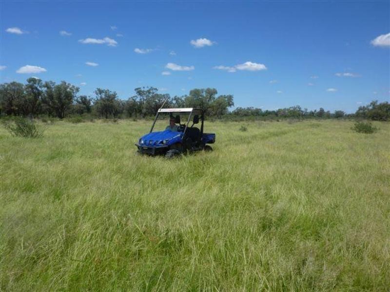 3443 Pitherty Road, Cunnamulla QLD 4490