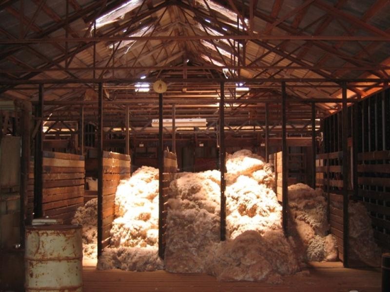 3443 Pitherty Road, Cunnamulla QLD 4490