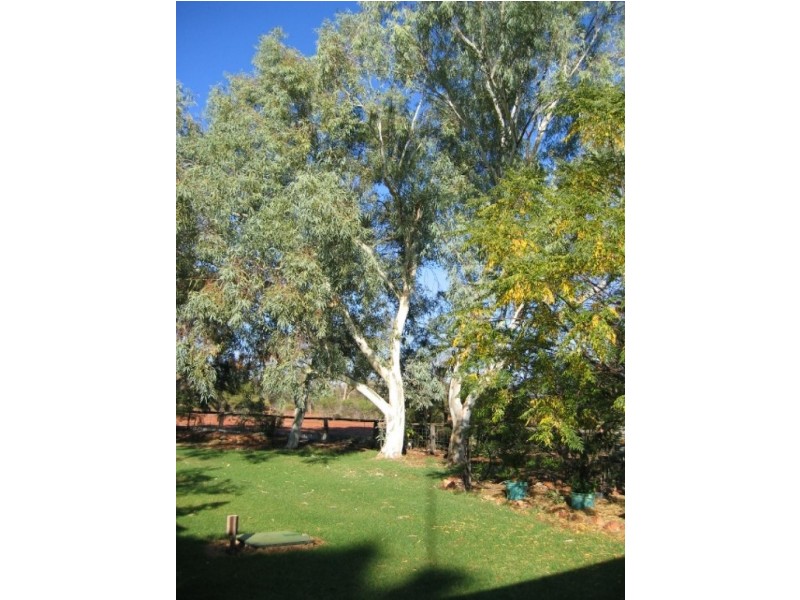 3443 Pitherty Road, Cunnamulla QLD 4490