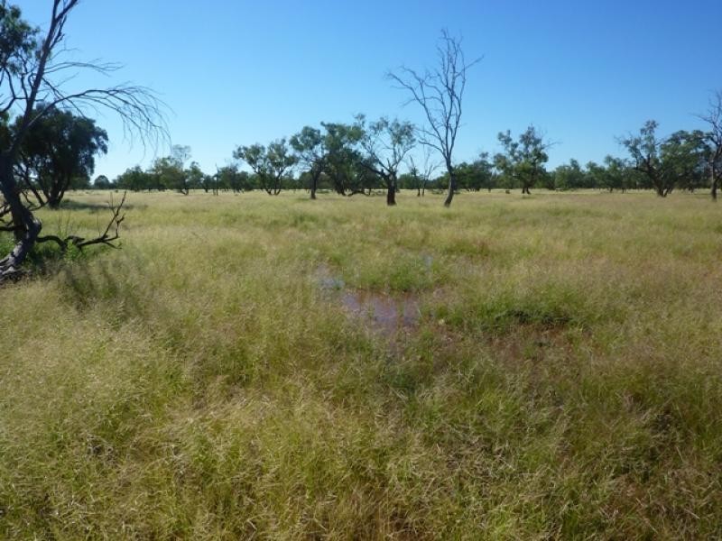 3443 Pitherty Road, Cunnamulla QLD 4490