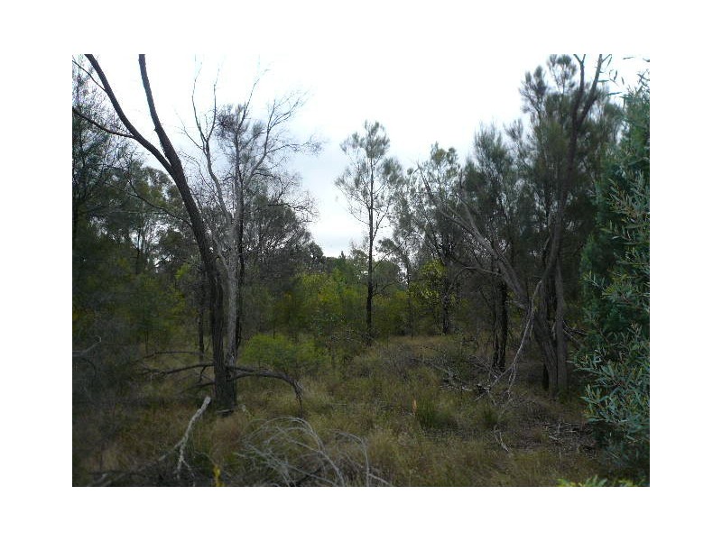 130 HARWOODS ROAD, Tara QLD 4421