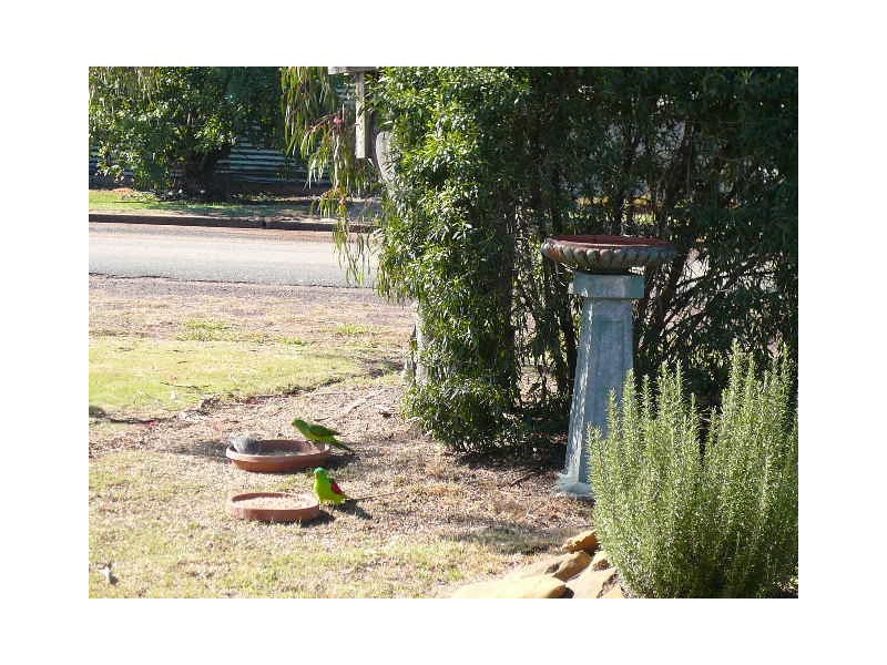 22 BILTON STREET, Tara QLD 4421