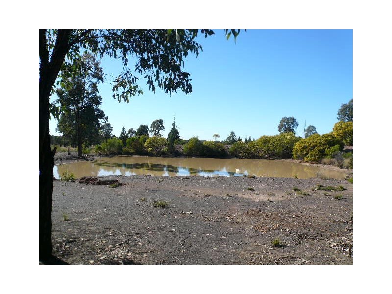 877 MALES DRIVE, Tara QLD 4421