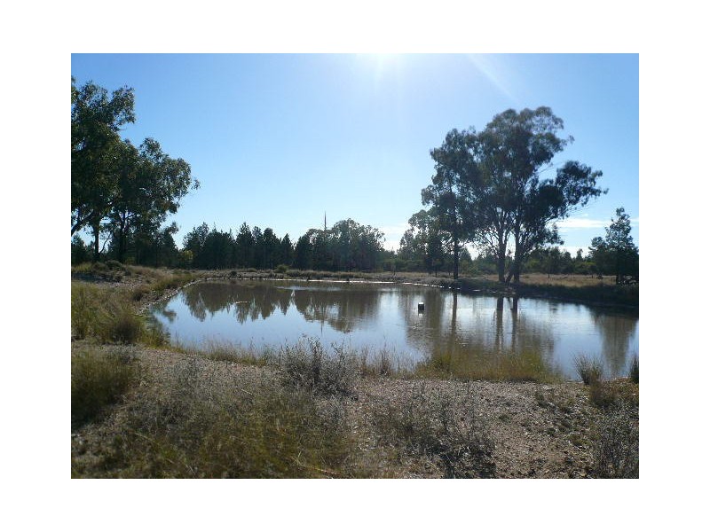 1012 TARA KOGAN ROAD, Tara QLD 4421