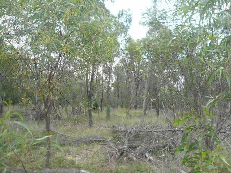 Lot 39/ McKEE DRIVE, Goranba QLD 4421