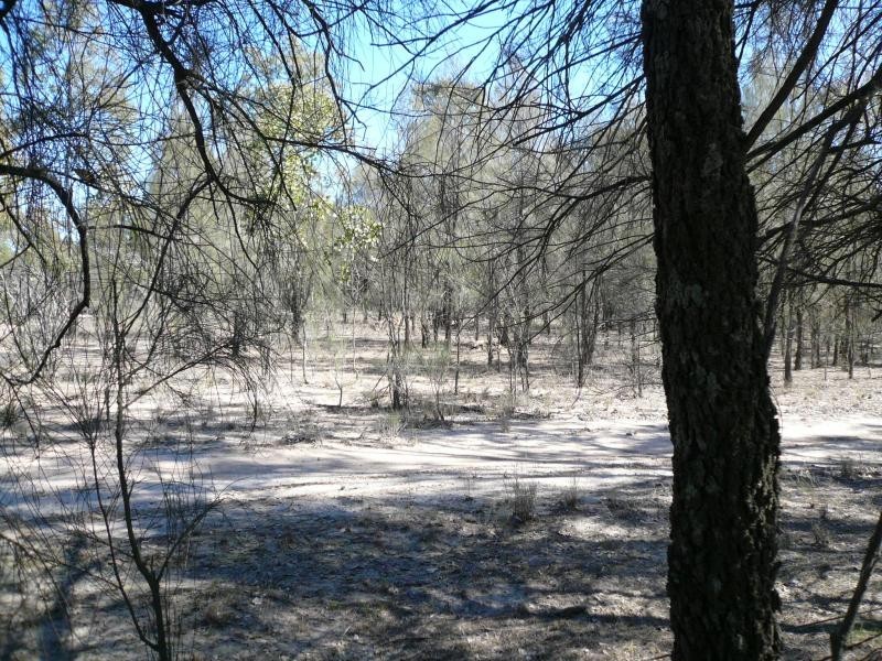 Lot 2/ BANANA BRIDGE ROAD, Kogan QLD 4406