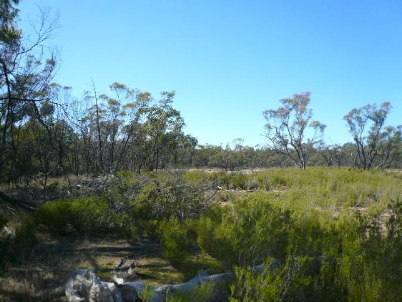 Lot 327/ BELLBIRD ROAD, Tara QLD 4421