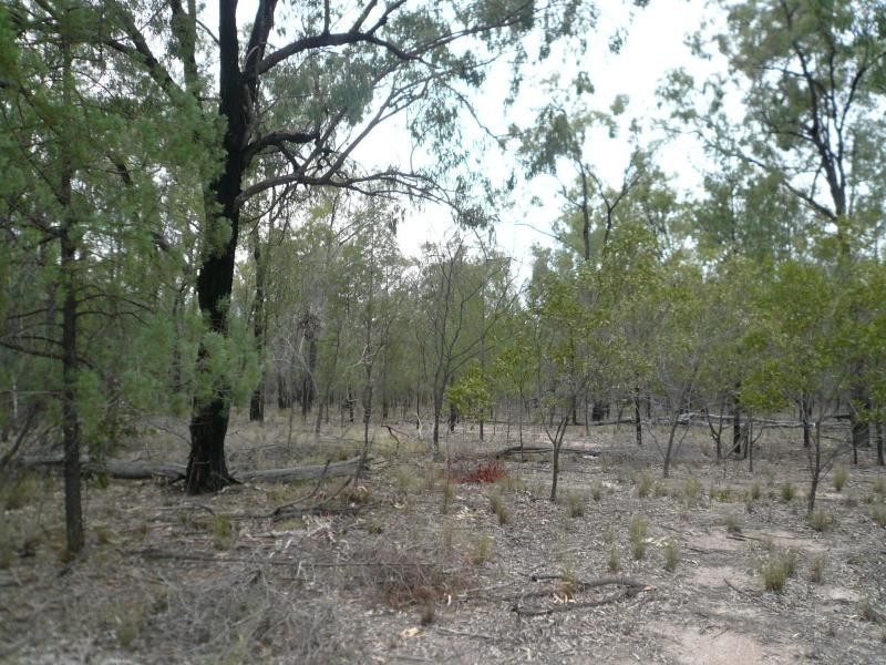 Lot 330/ BELLBIRD ROAD, Tara QLD 4421