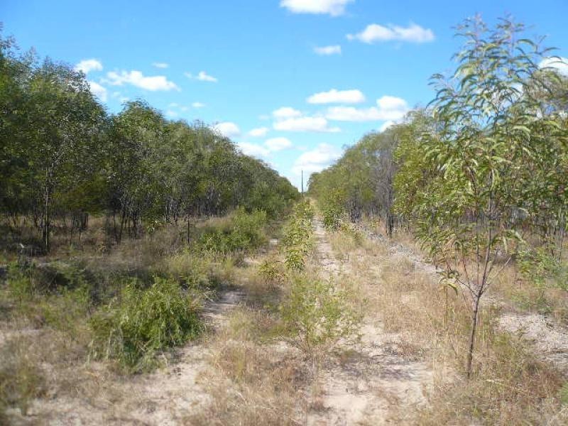 Lot 31/ BISLEY ROAD, Tara QLD 4421