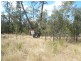 Lot 72/ BUNGYBAH ROAD, Tara QLD 4421
