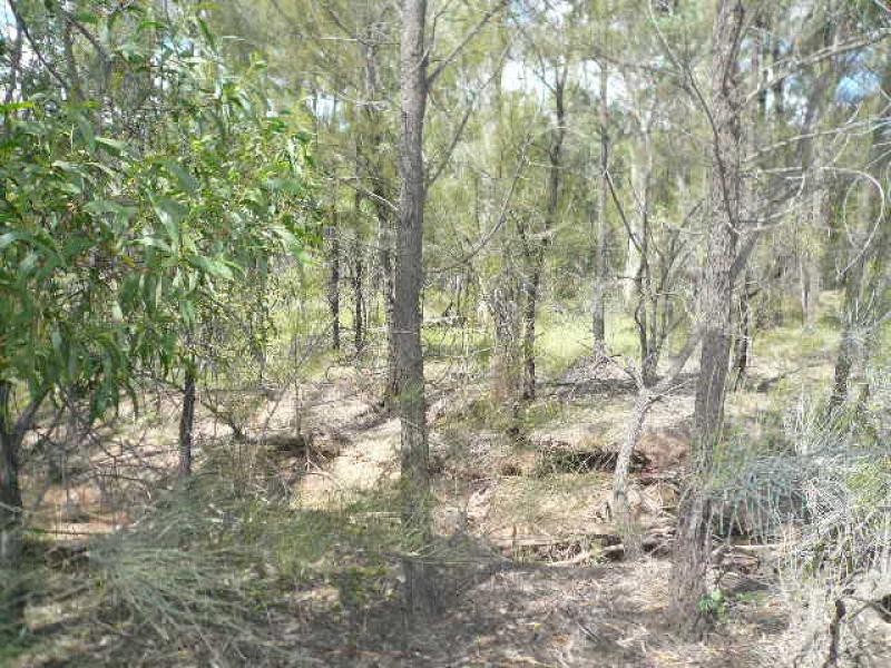 Lot 103/ FORESTRY ROAD, Tara QLD 4421