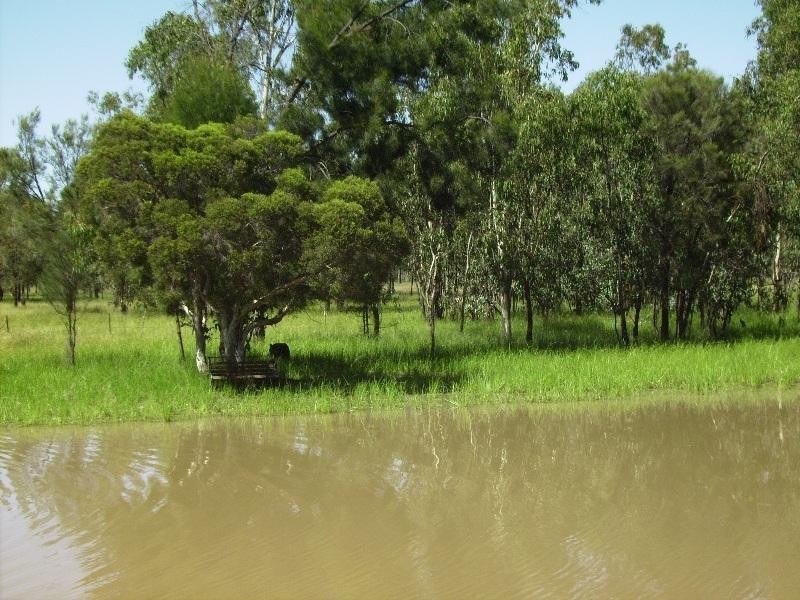 1984 TARA KOGAN ROAD, Tara QLD 4421