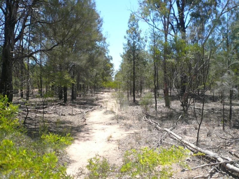 Lot 34/ HUMBUG ROAD, Tara QLD 4421