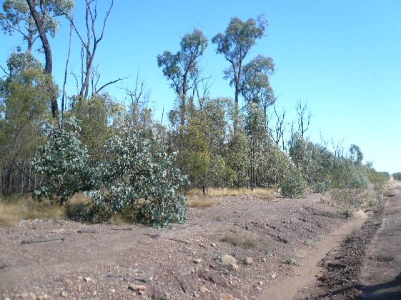 Lot 80/ ORCHARD ROAD, Tara QLD 4421