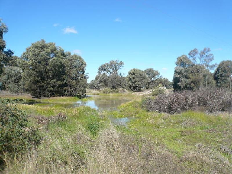 1974 TULAGRIE ROAD, Tara QLD 4421