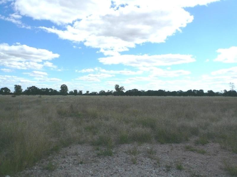 311 UNDULLA CREEK ROAD, Tara QLD 4421