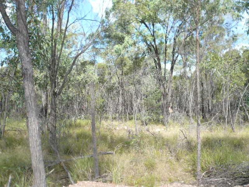 Lot 62/ RIDGE ROAD, Tara QLD 4421