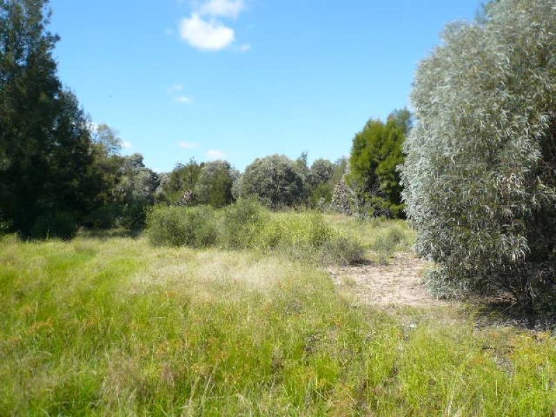 Lot 53/ KYTES ROAD, Tara QLD 4421