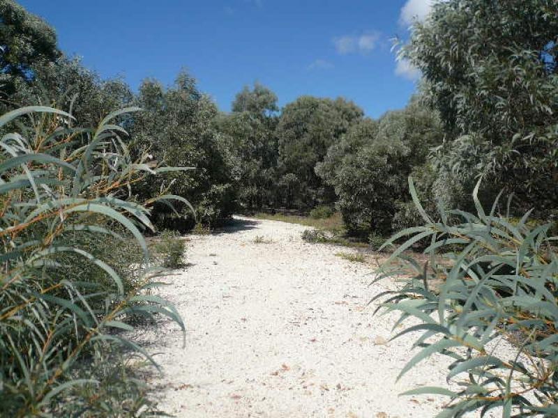 Lot 53/ KYTES ROAD, Tara QLD 4421