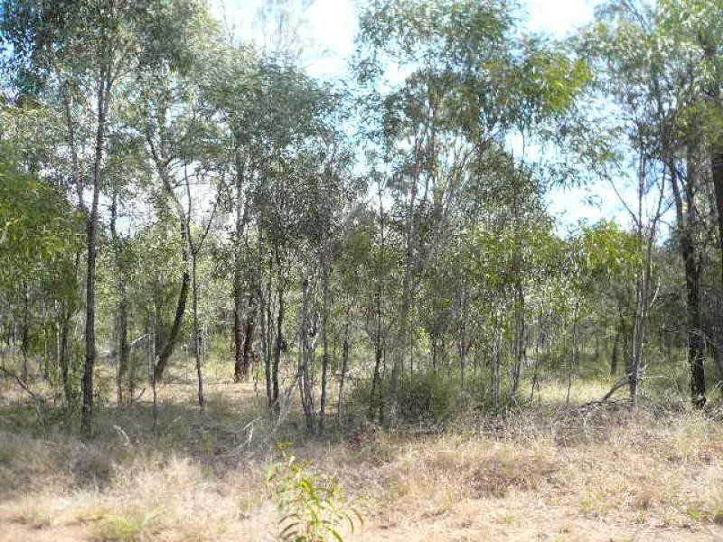 Lot 96/ MACHANESS ROAD, Tara QLD 4421