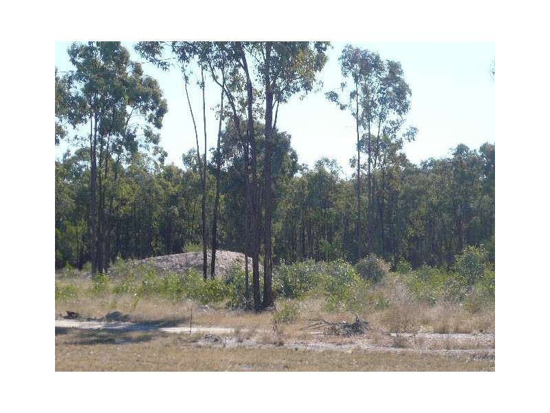 54 ARNOLDS ROAD, Tara QLD 4421