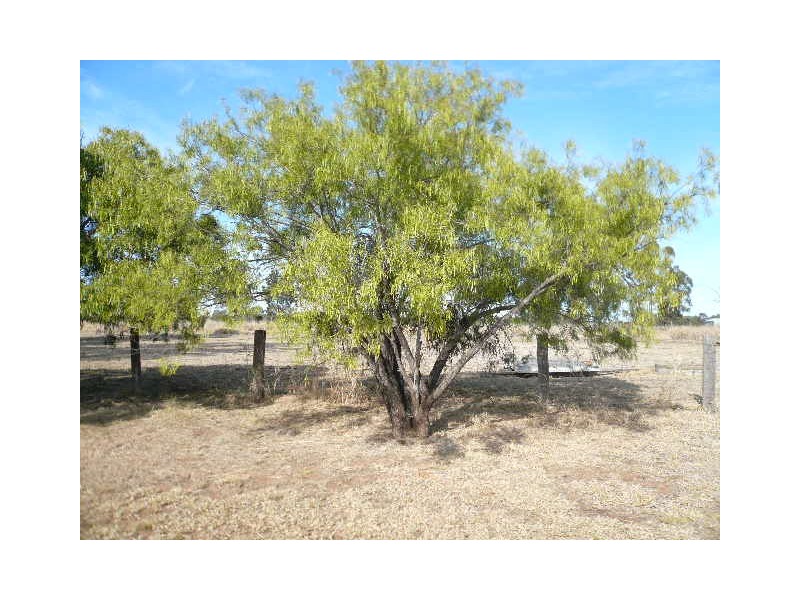 3 SYBIL STREET, Glenmorgan QLD 4423