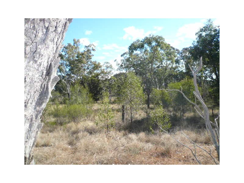 18 HUMBUG ROAD, Tara QLD 4421