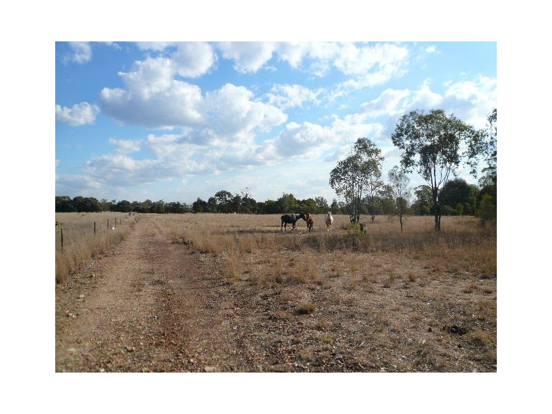 341 UNDULLA CREEK ROAD, Tara QLD 4421