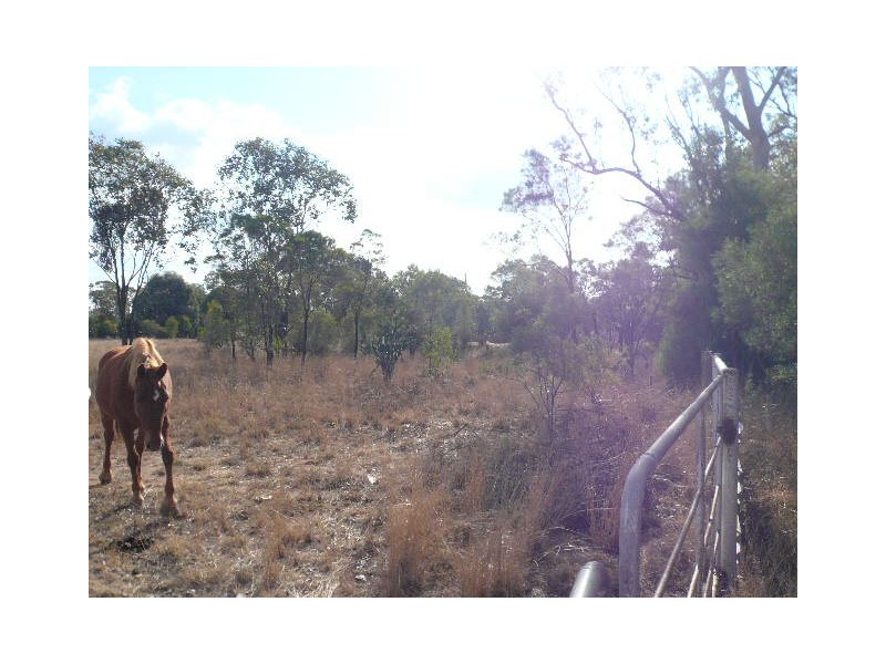 341 UNDULLA CREEK ROAD, Tara QLD 4421