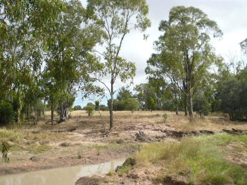 1 ,3,84,85,86 BADDLEYS LANE AND SURAT DEVELOPMENTAL ROAD, Tara QLD 4421
