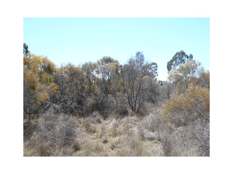 183 TREGATHLYN ROAD, Tara QLD 4421