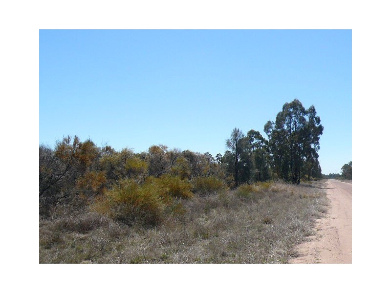 183 TREGATHLYN ROAD, Tara QLD 4421