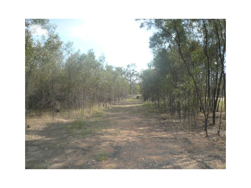 1662 BENNETT SCHOOL ROAD, Tara QLD 4421