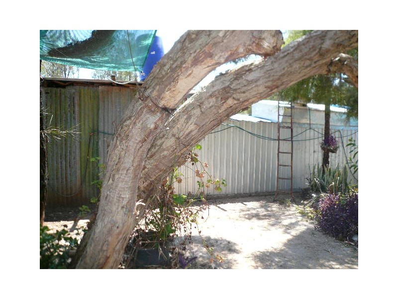 92 TIMOTHY ROAD, Tara QLD 4421