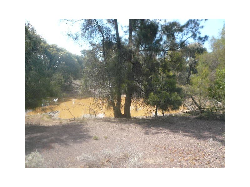 222 KYTES ROAD, Tara QLD 4421