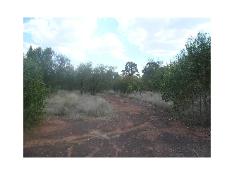 222 KYTES ROAD, Tara QLD 4421