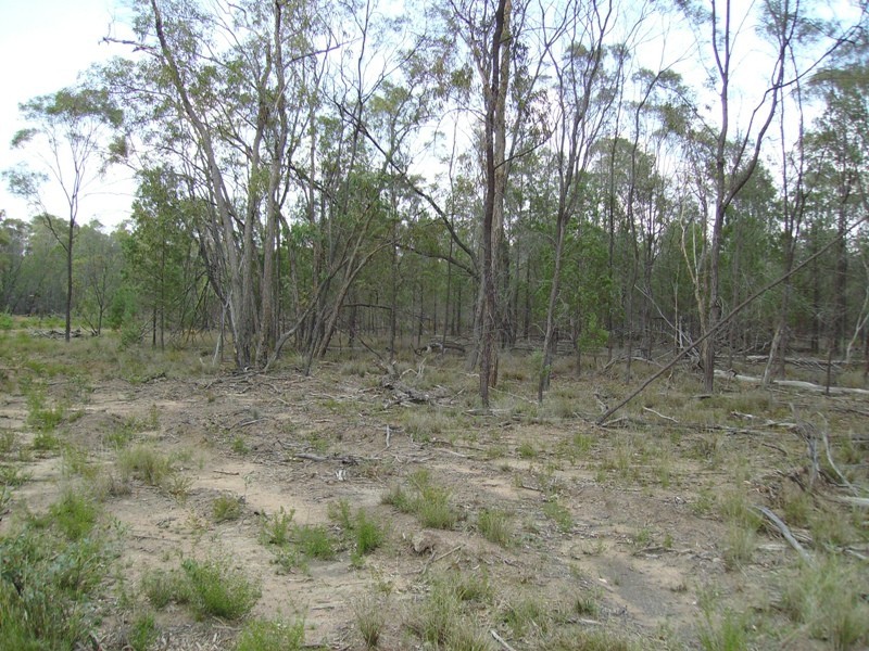 76 WEST VALLEY ROAD, Tara QLD 4421