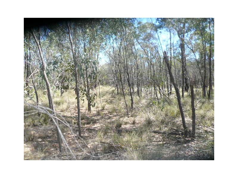 34 ARNOLDS ROAD, Tara QLD 4421