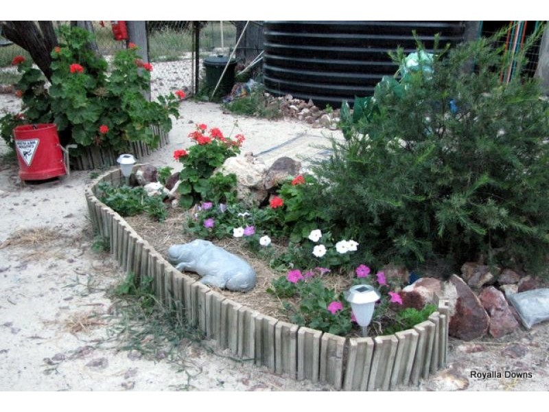 216 KOFOEDS ROAD, Tara QLD 4421