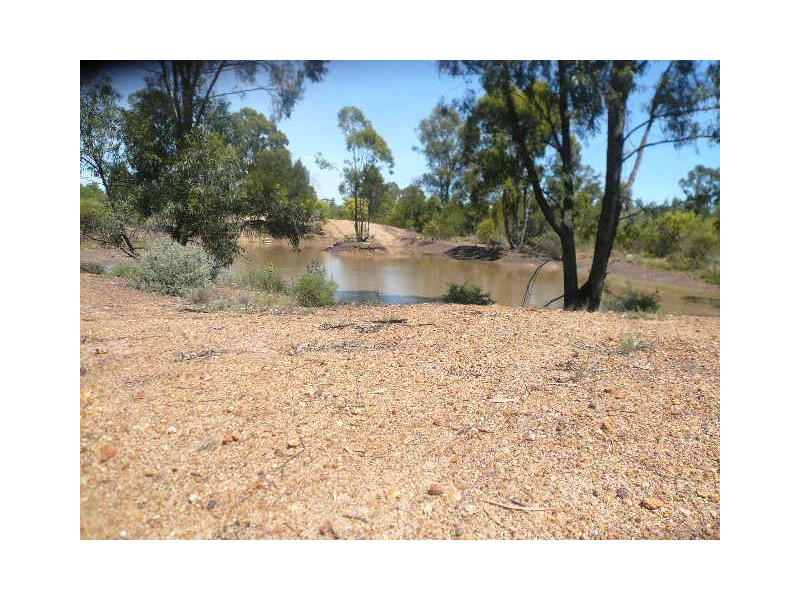 63 STAINES ROAD, Tara QLD 4421