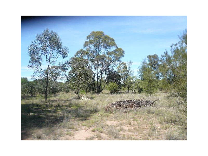 63 STAINES ROAD, Tara QLD 4421