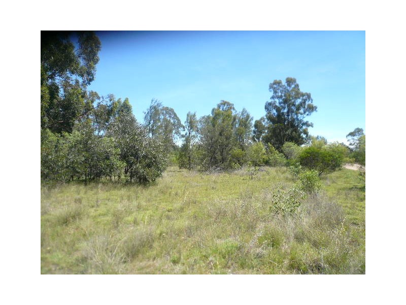 63 STAINES ROAD, Tara QLD 4421