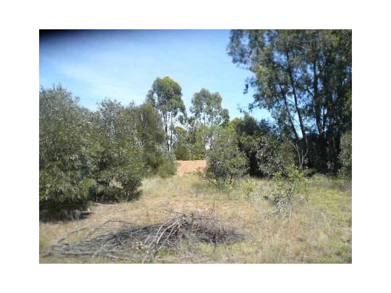 63 STAINES ROAD, Tara QLD 4421