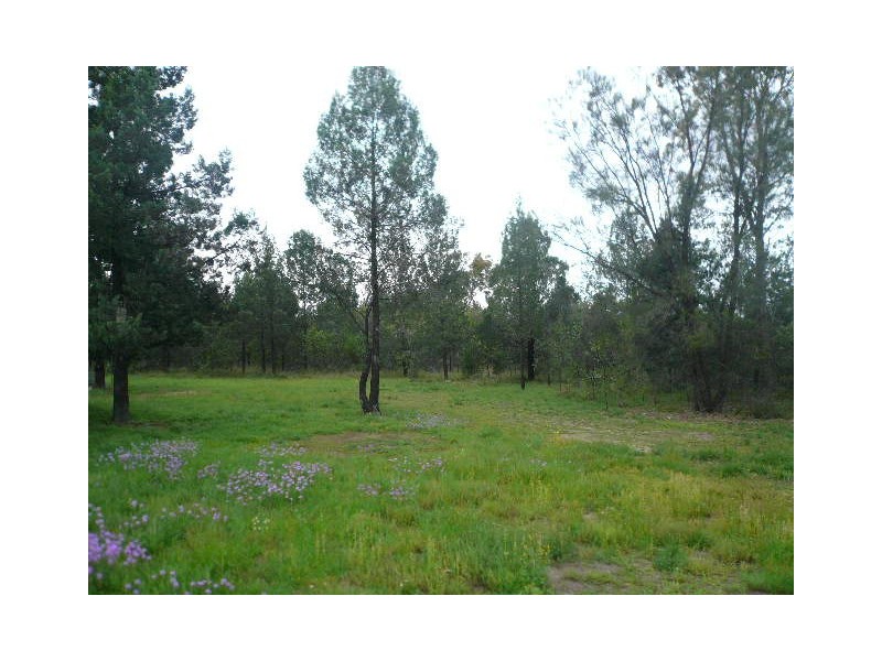 157 BISLEY ROAD, Tara QLD 4421