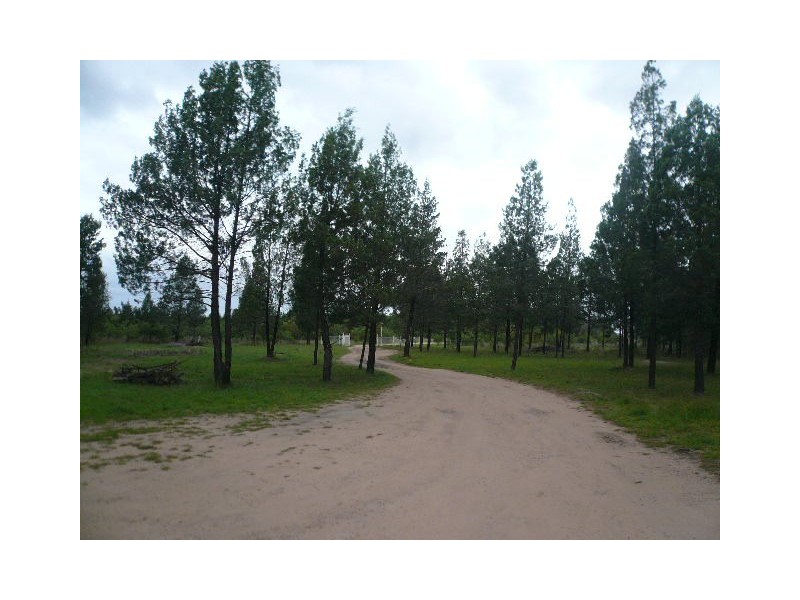 157 BISLEY ROAD, Tara QLD 4421