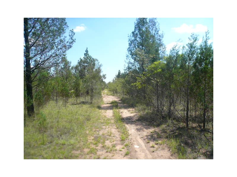 157 BISLEY ROAD, Tara QLD 4421