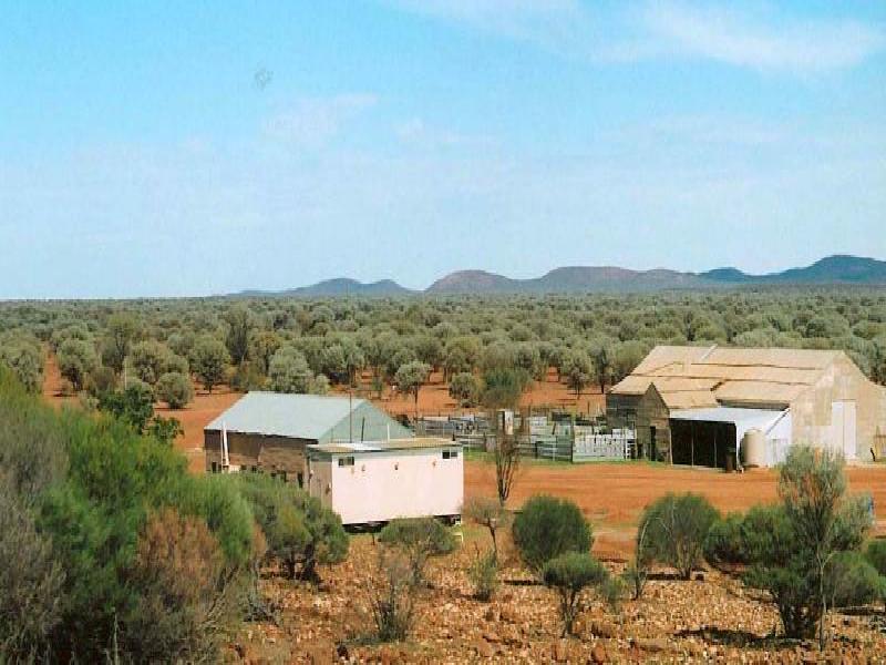 Mount WA 6638 the real estate agency Withdrawn