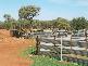 Mount Magnet WA 6638
